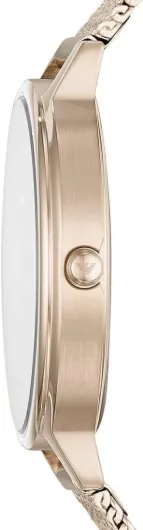 Montre pour Femmes, 32mm Mouvement à Quartz Deux Aiguilles avec Bracelet en Acier Inoxydable Ton Or Ton Or Pâle