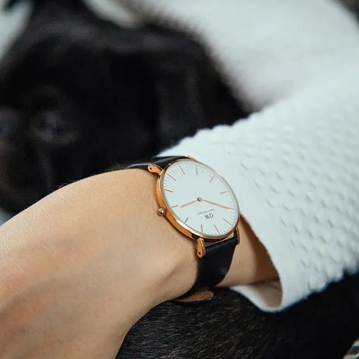 Élégance intemporelle : le raffinement du collier or blanc pour sublimer la montre de luxe femme